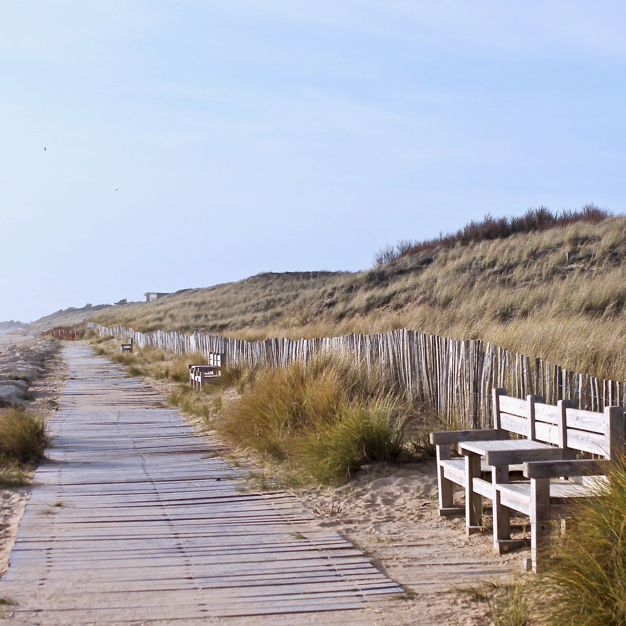promenade chemin bois Ré carré